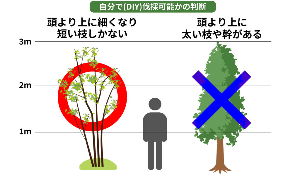 2026年版】庭木伐採の料金相場 | 補助金活用の条件や、安くする依頼 