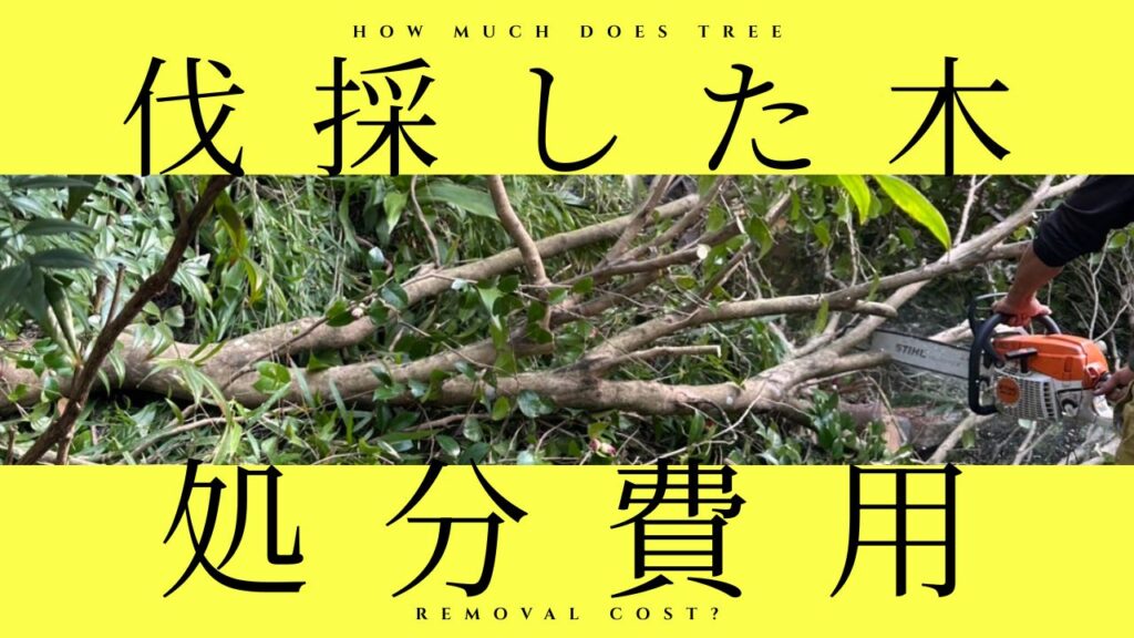 伐採した木の処分費用_ 