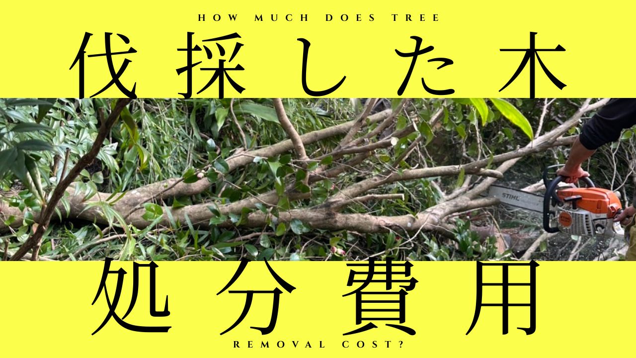 伐採した木の処分費用はいくら？無料で処分できる？7つの捨て方完全 