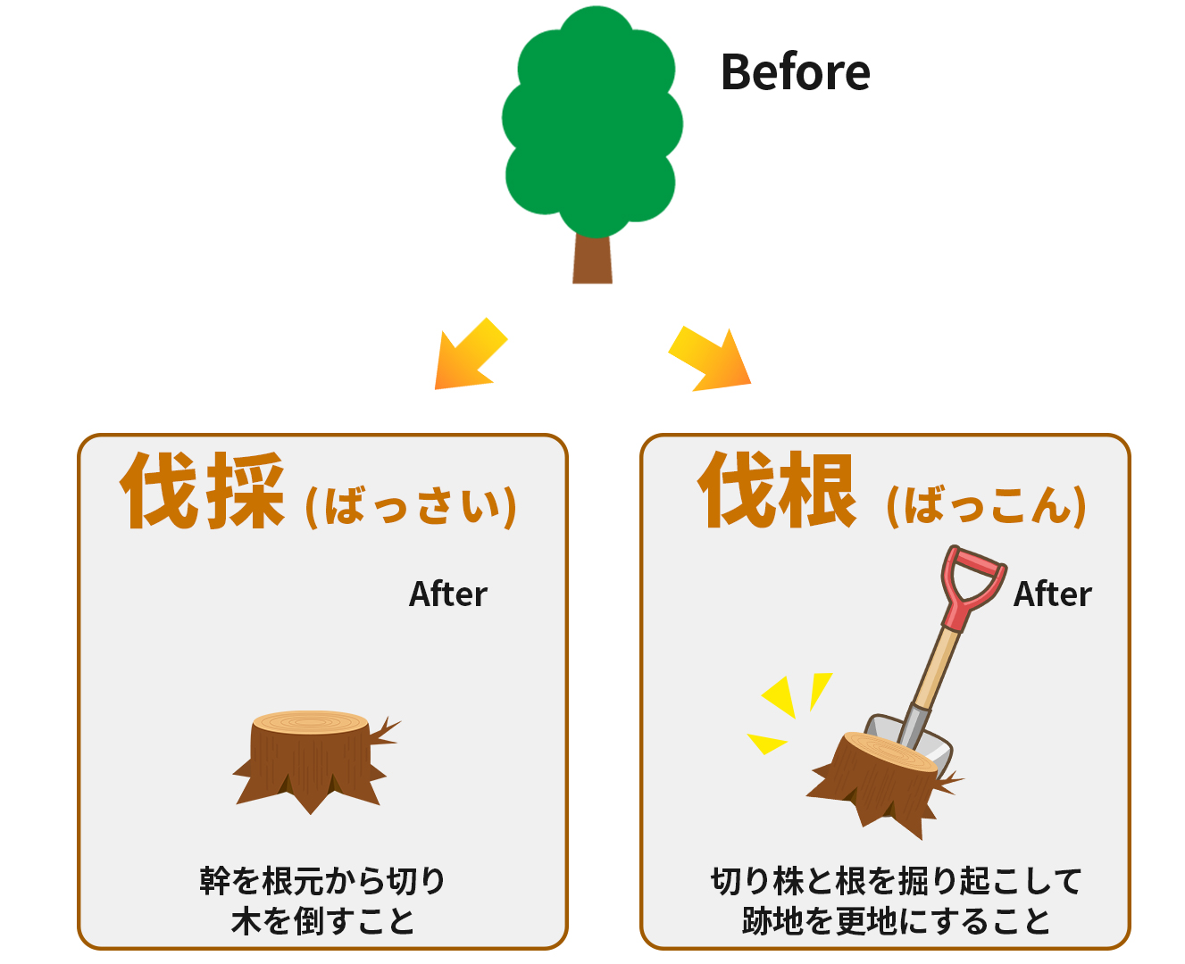 「伐根」と「抜根」の違いとは?費用・安くする方法まで解説 – リぺマガ-リペルン公式マガジンサイト