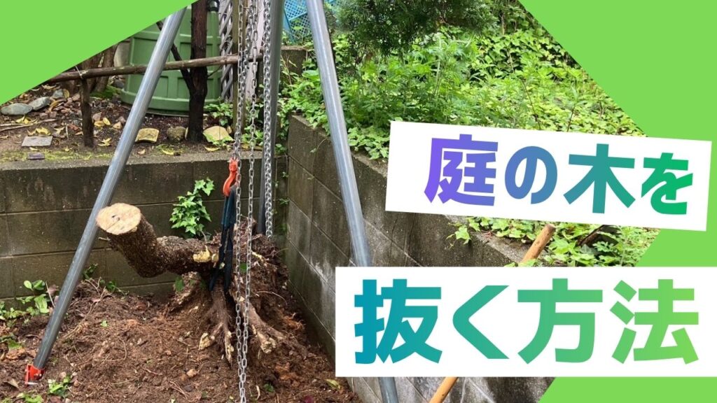 庭の木を抜く方法_サムネイル- 