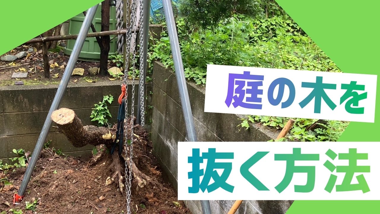 庭の木を自分で抜く方法と業者費用｜樹種別でわかる抜根ガイド – リぺ 