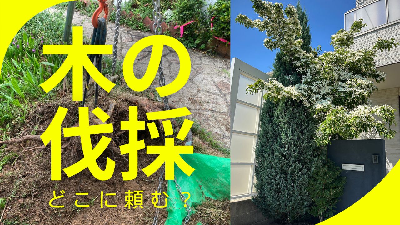 木の伐採はどこに頼む？おすすめ業者と費用・失敗しない選び方を徹底 