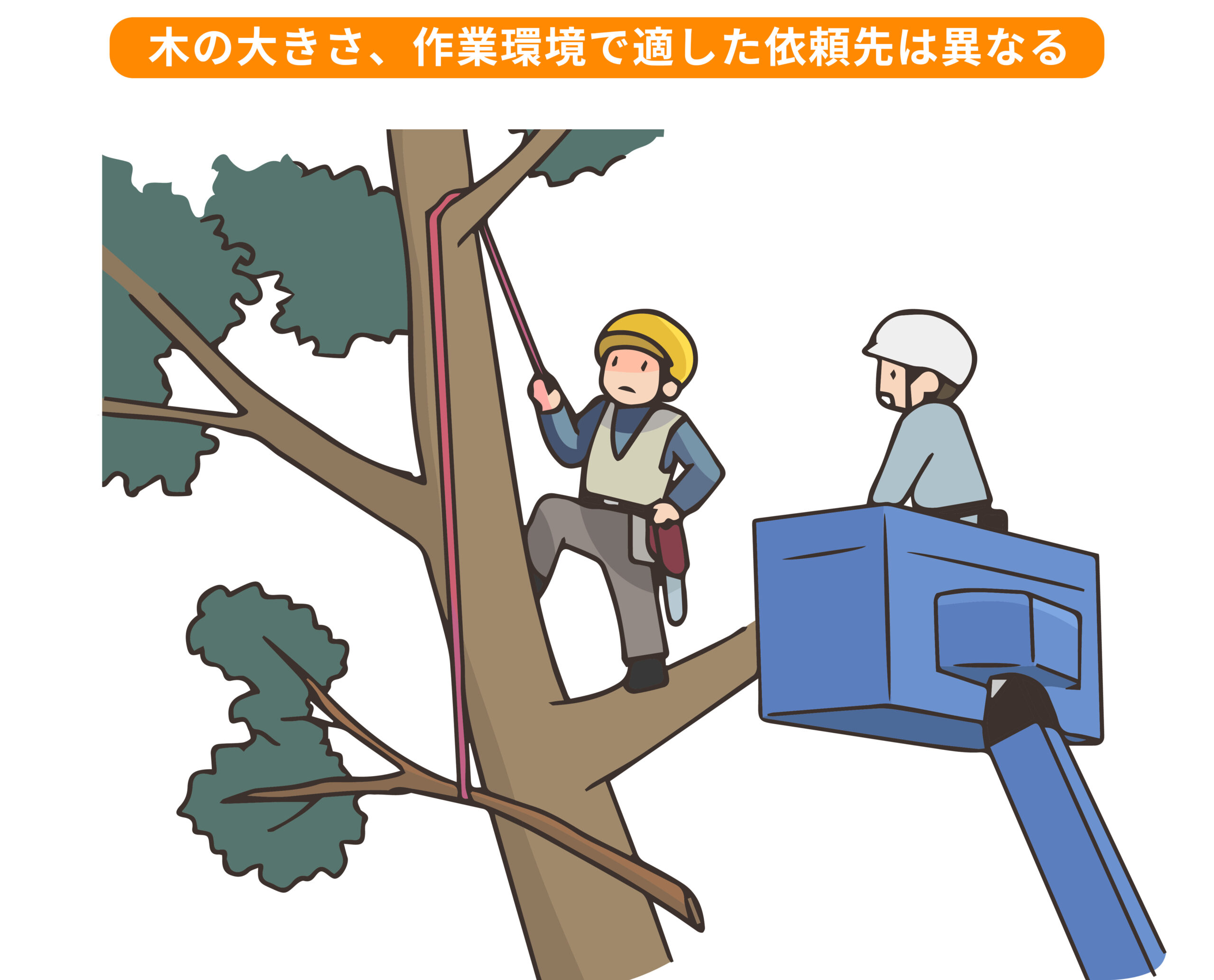 木の伐採はどこに頼む？おすすめ業者と費用・失敗しない選び方を徹底 