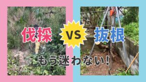 実例あり】伐採と抜根はどう違うの？費用差・作業内容完全解説 – リぺ 