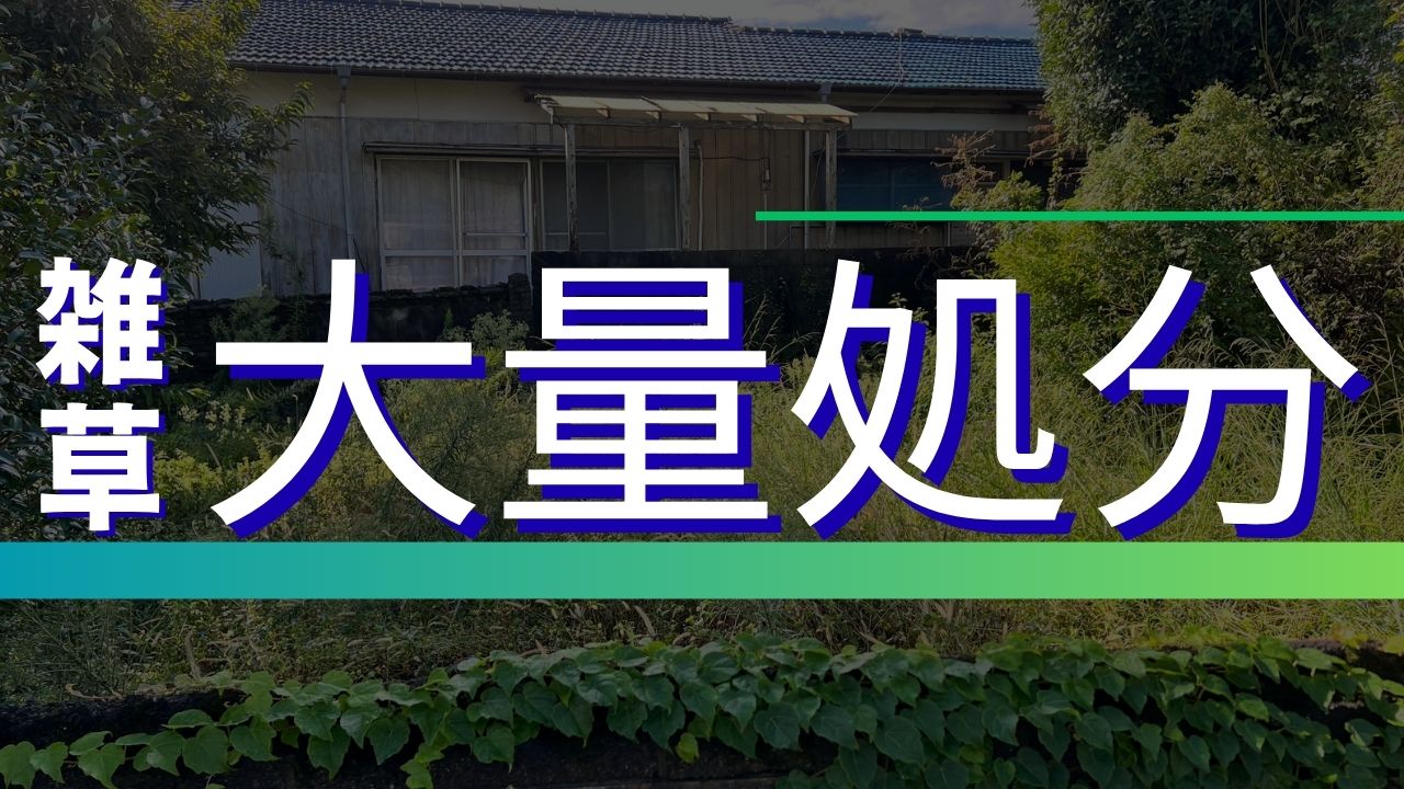 雑草の大量処分費用を安くするコツ｜相場とおすすめの処分方法 – リぺ 
