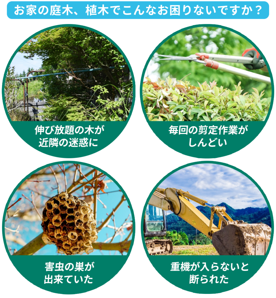 庭木の伐採は地域密着の伐採業者が迅速に解決します | ちょっとした 