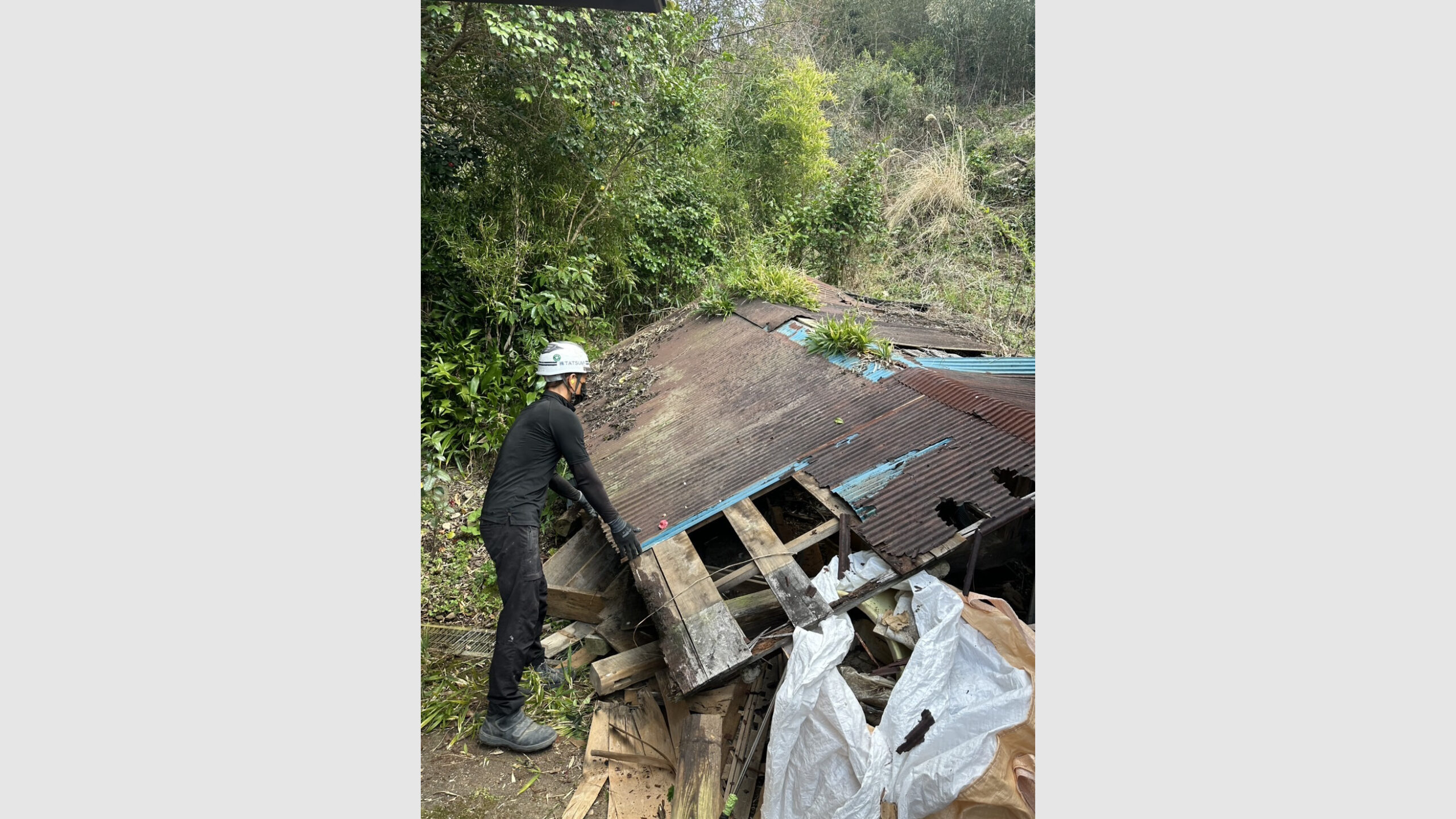 半壊の納屋解体と伐採工事