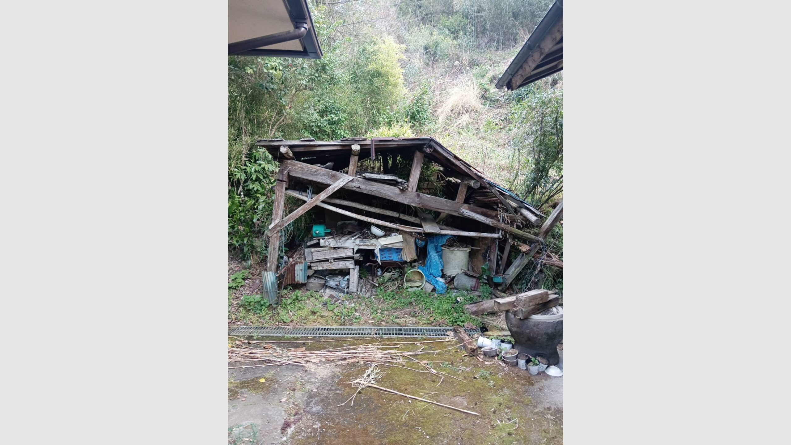 半壊の納屋解体と伐採工事