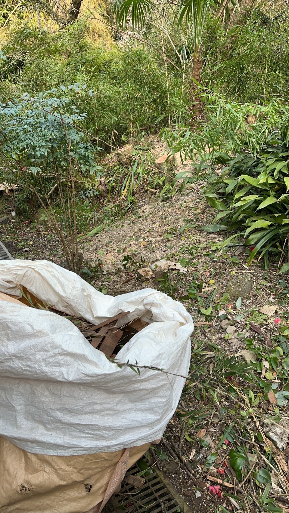 半壊の納屋解体と伐採工事