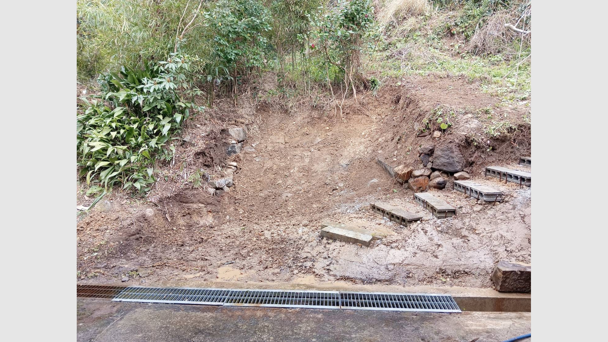 半壊の納屋解体と伐採工事