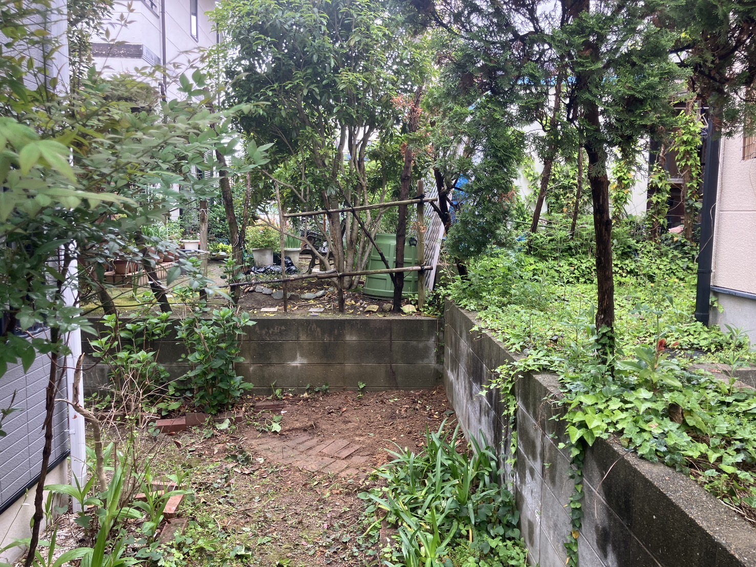 高さ3m級の木の伐採と抜根