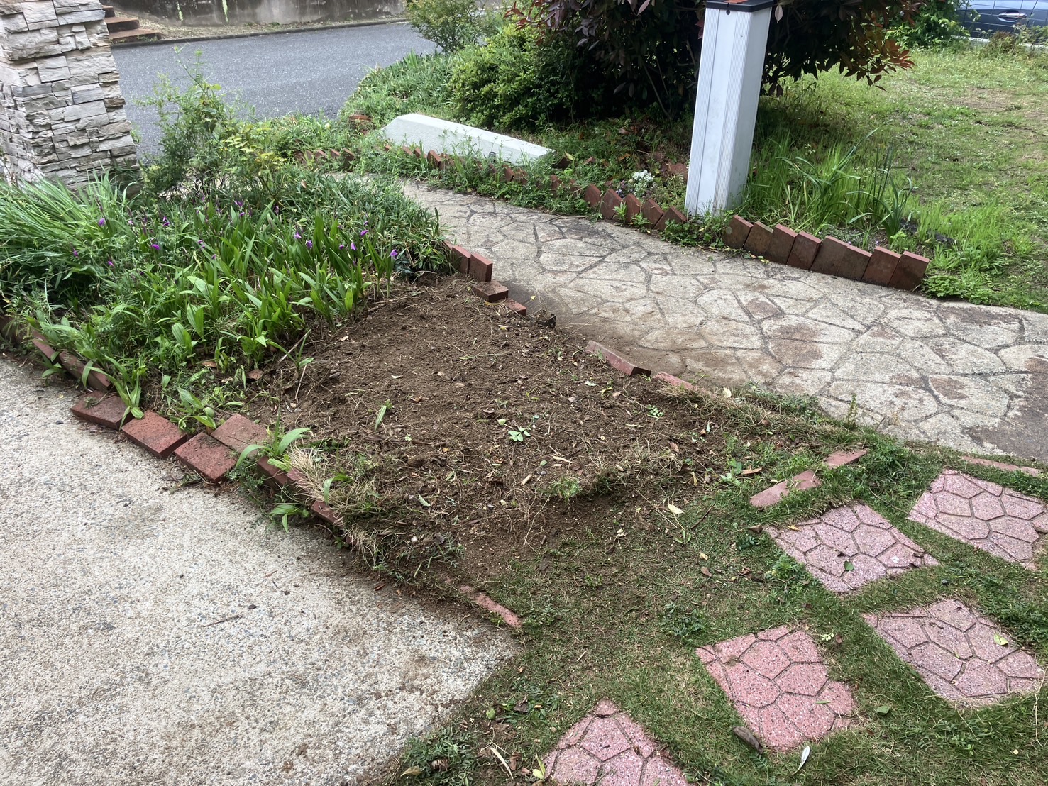 伸びすぎたシンボルツリーの伐採と抜根