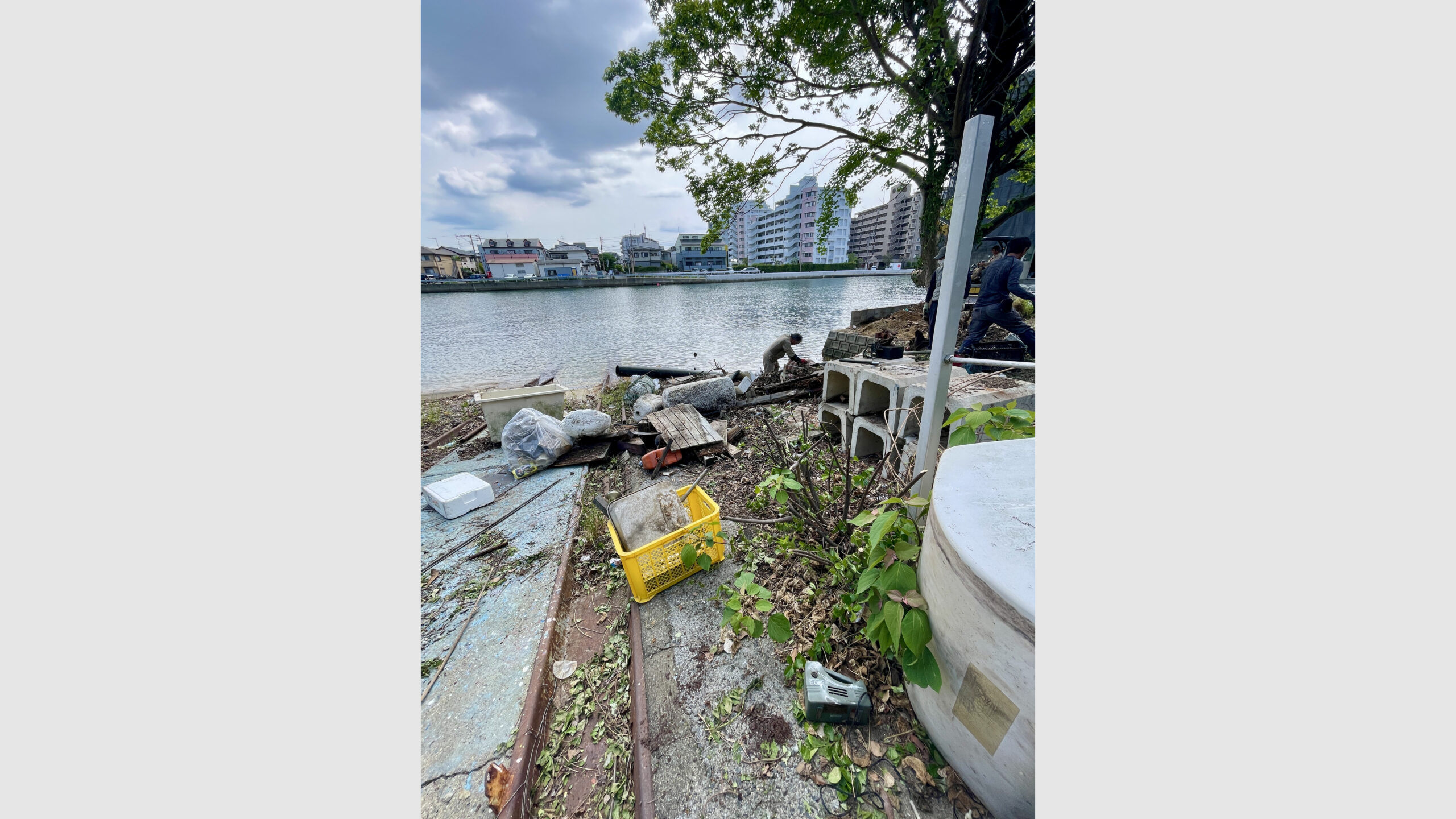 海岸沿い住宅の漂着ゴミ撤去作業