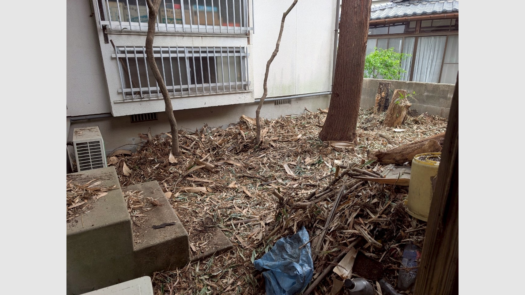 中庭の竹伐採工事