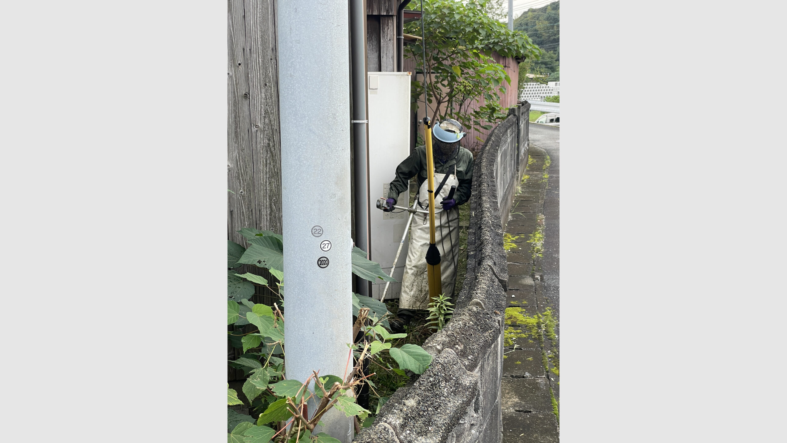 空き家の草刈りおよび道路への張り出し枝の剪定作業