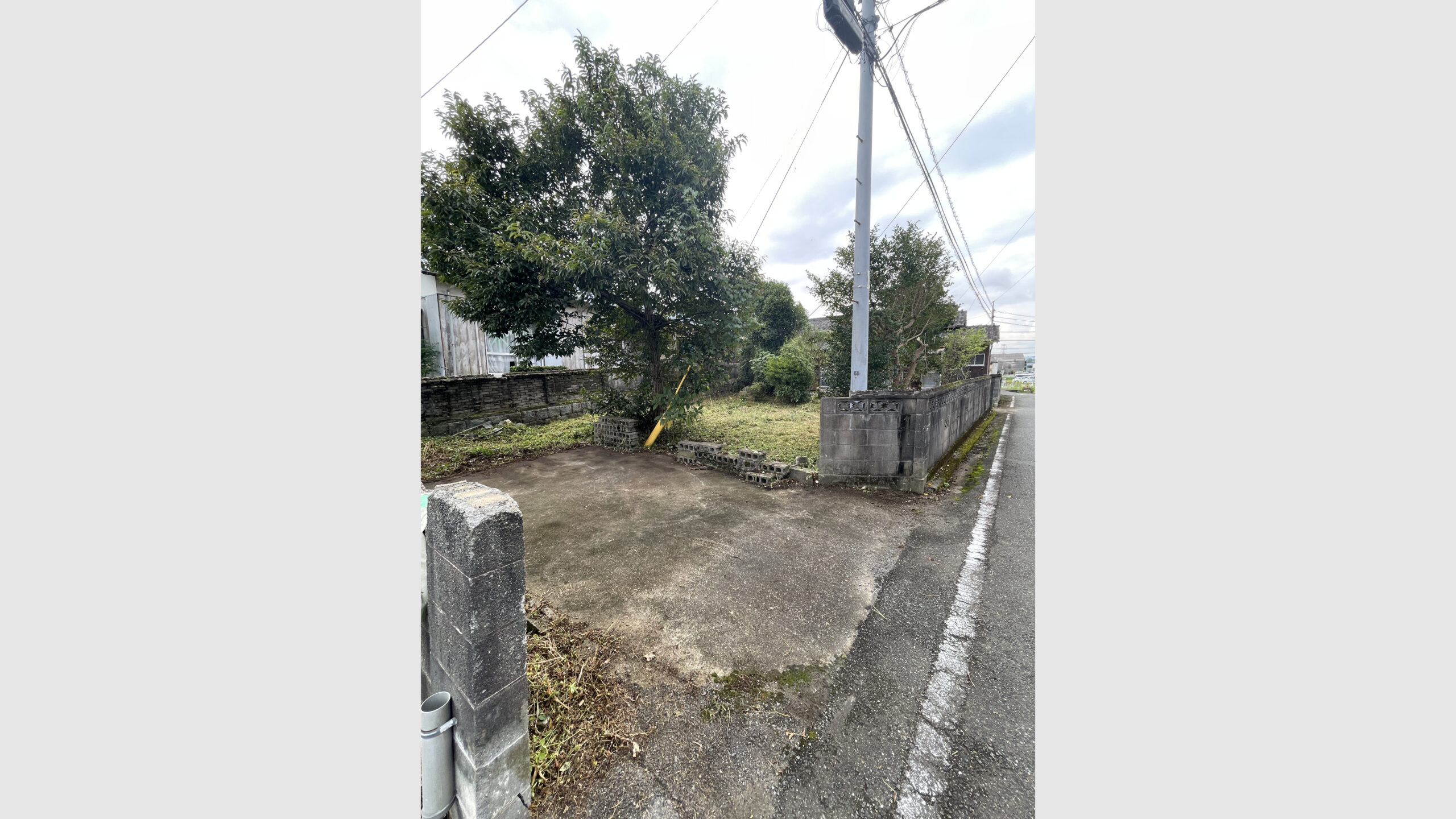 空き家の草刈りおよび道路への張り出し枝の剪定作業