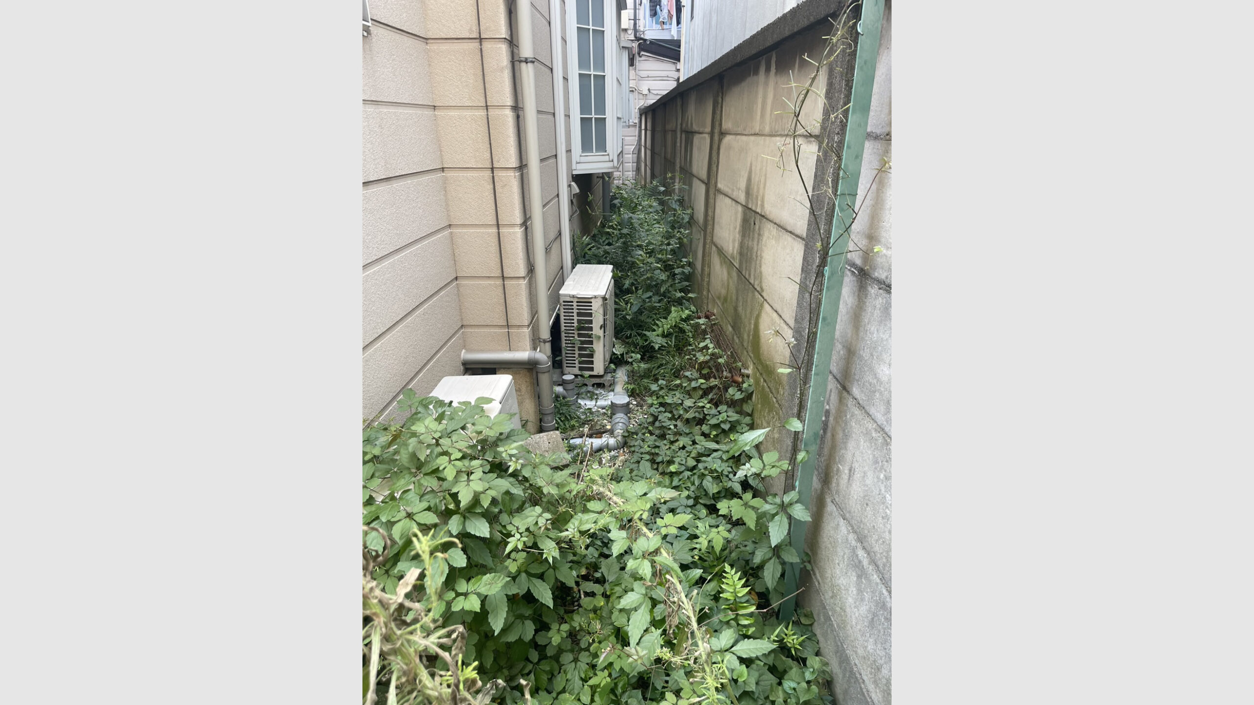 基礎部分の穴塞ぎ工事(害獣が侵入しないように)