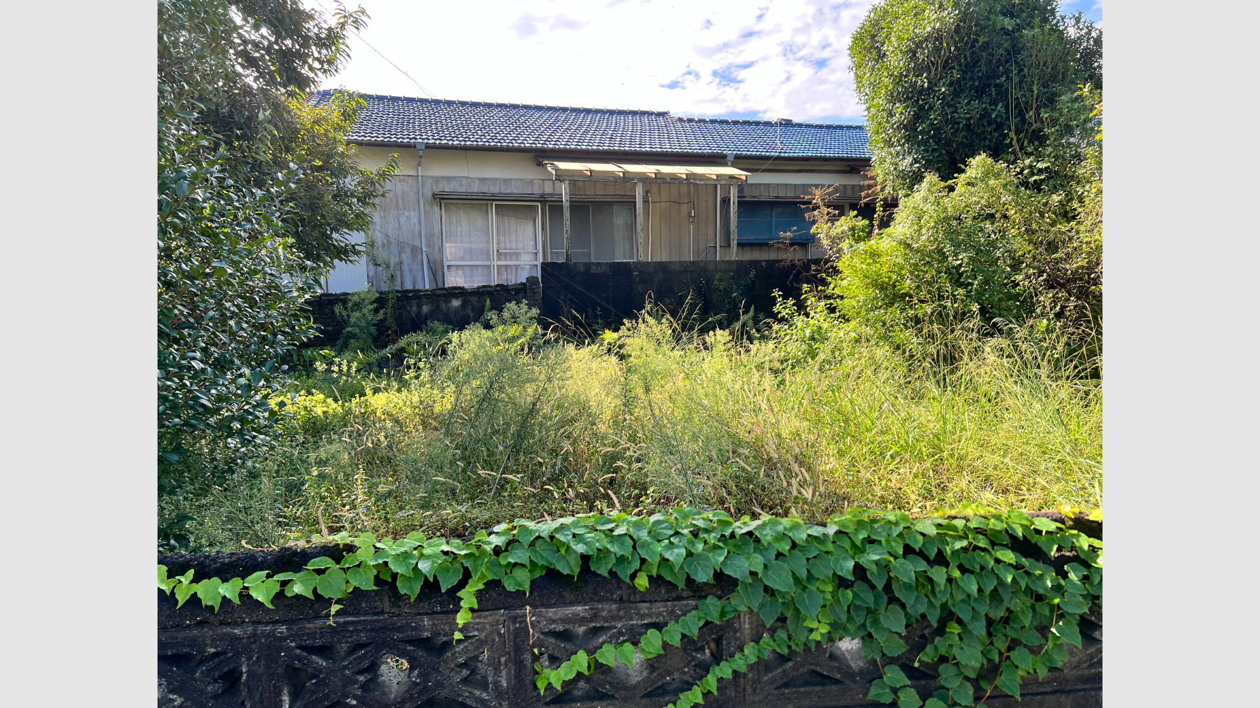 空き家の草刈りおよび道路への張り出し枝の剪定作業