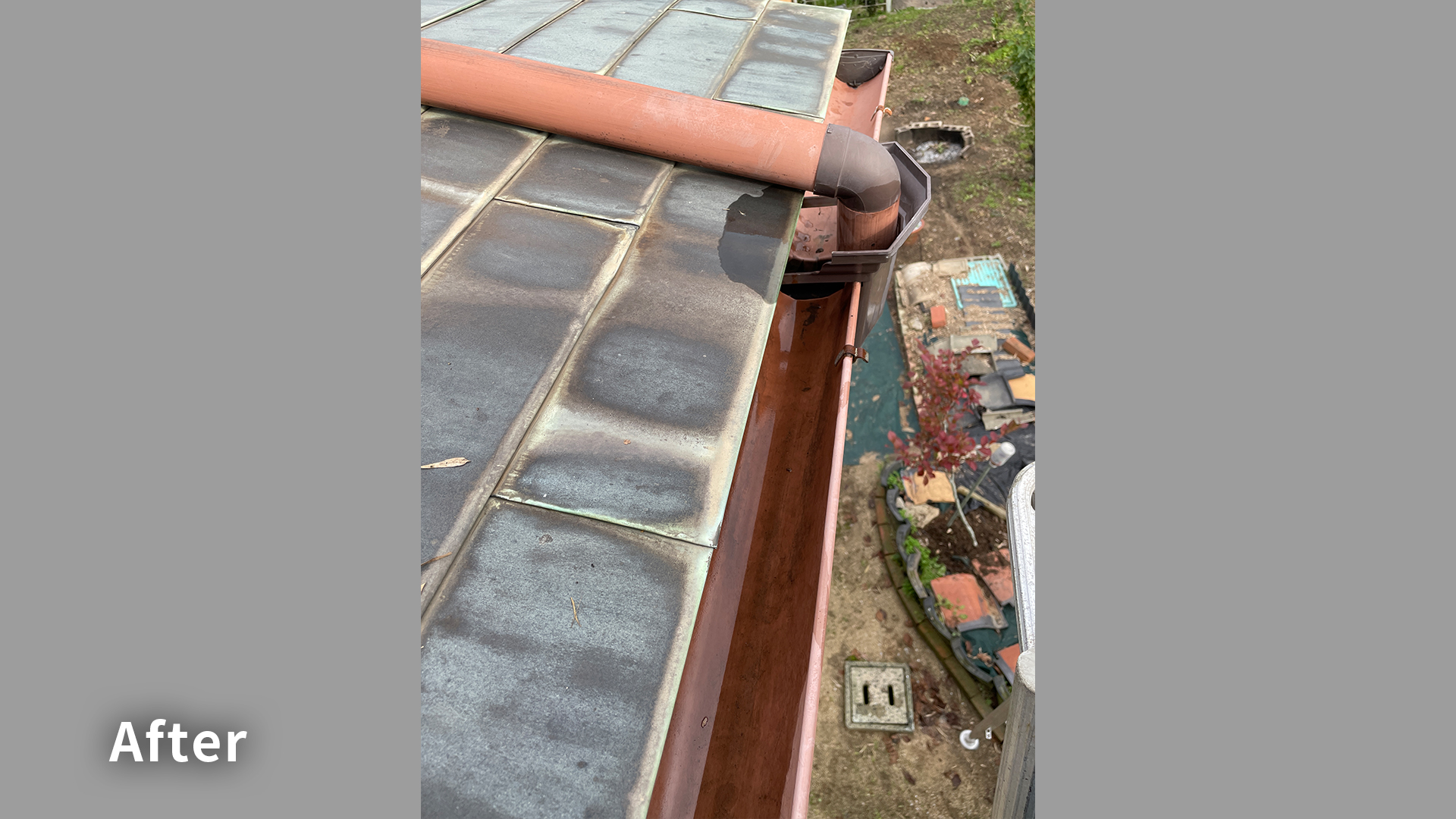 平屋の雨樋掃除