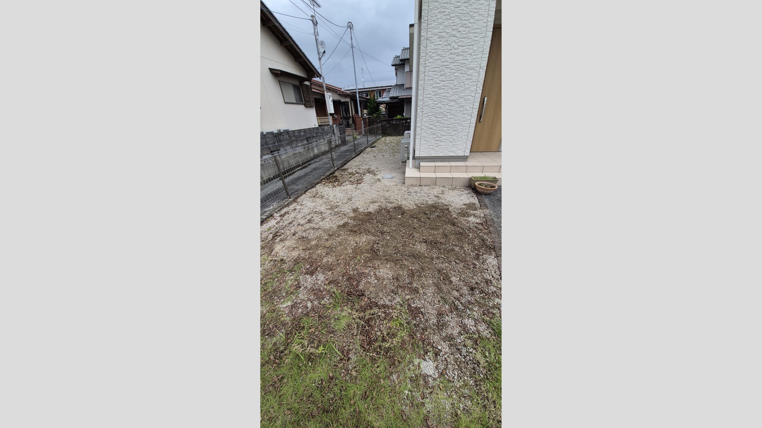 自分で伐採した木の処分と抜根
