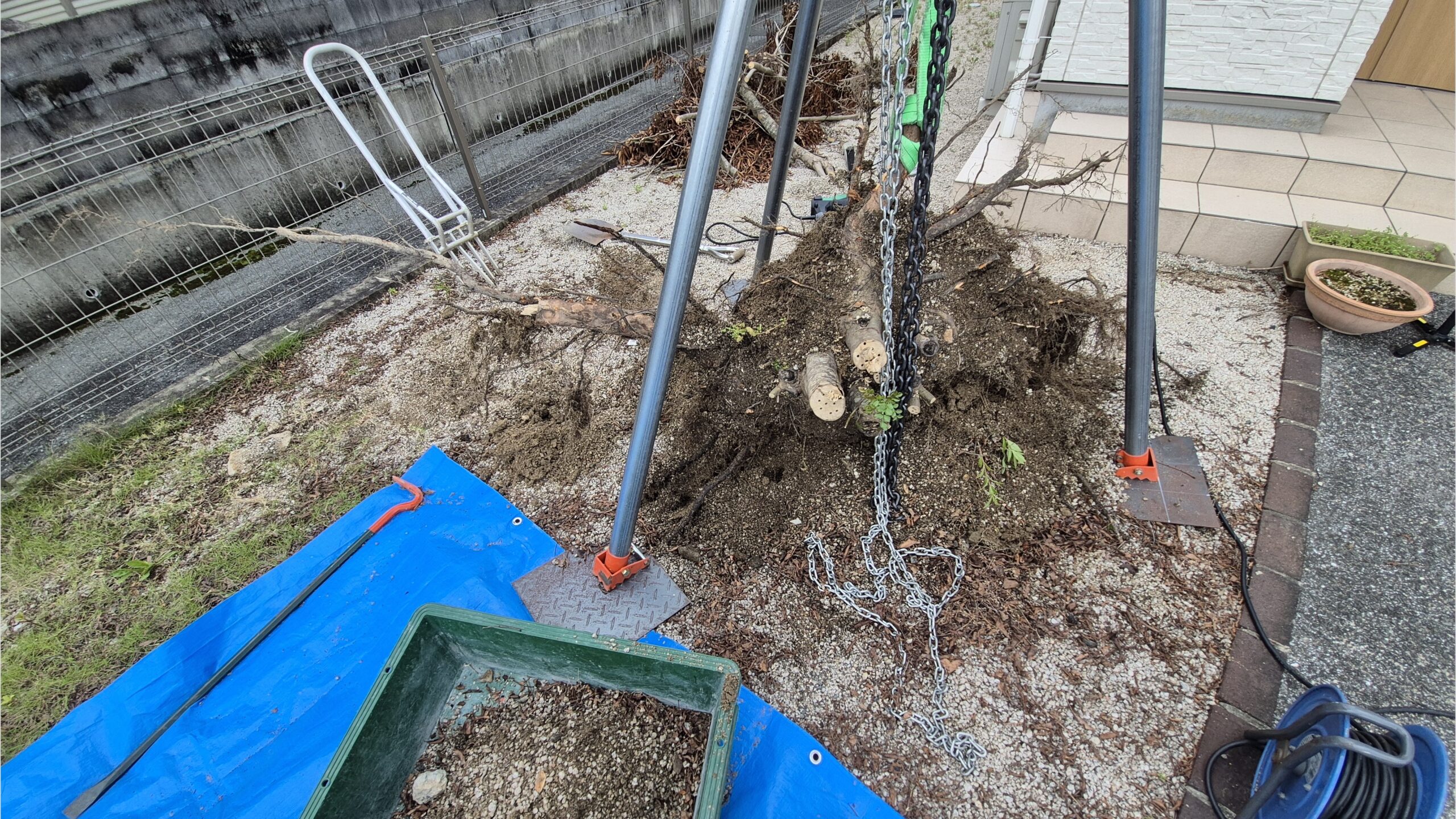 自分で伐採した木の処分と抜根