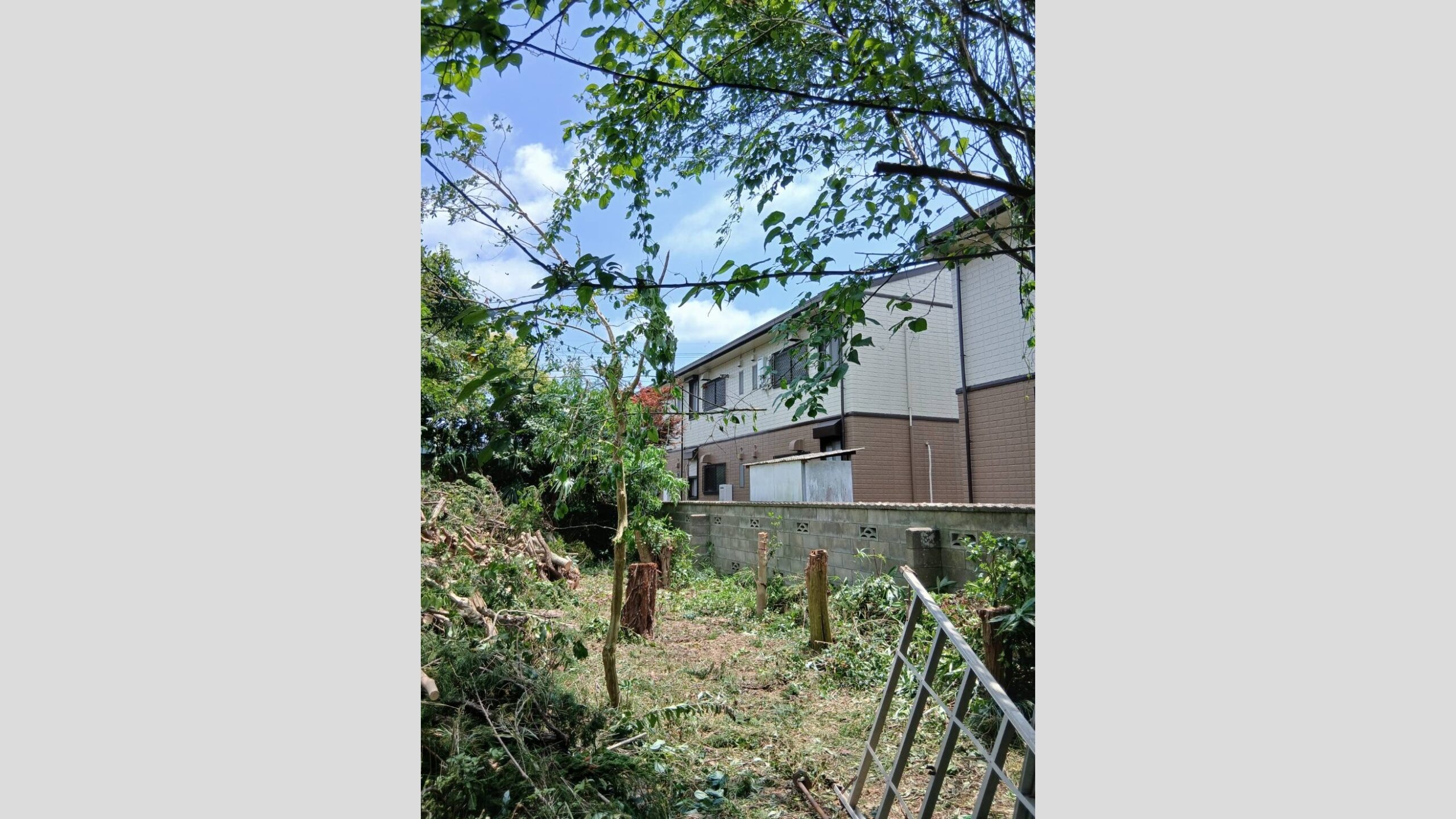 隣地にはみ出した庭木の伐採工事