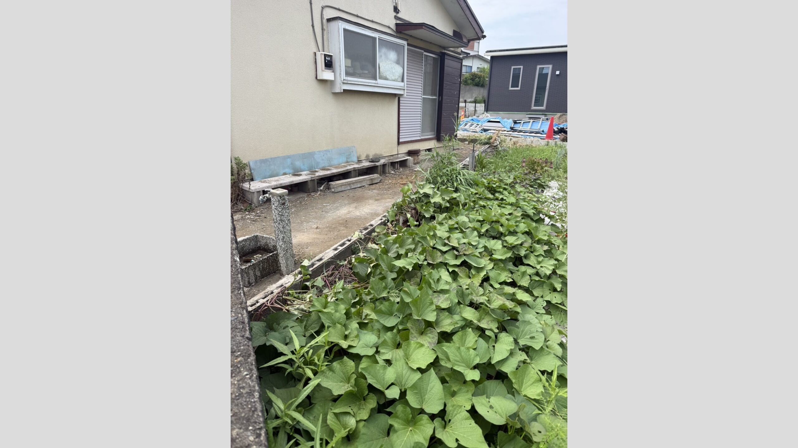 境界コンクリートブロックの撤去工事