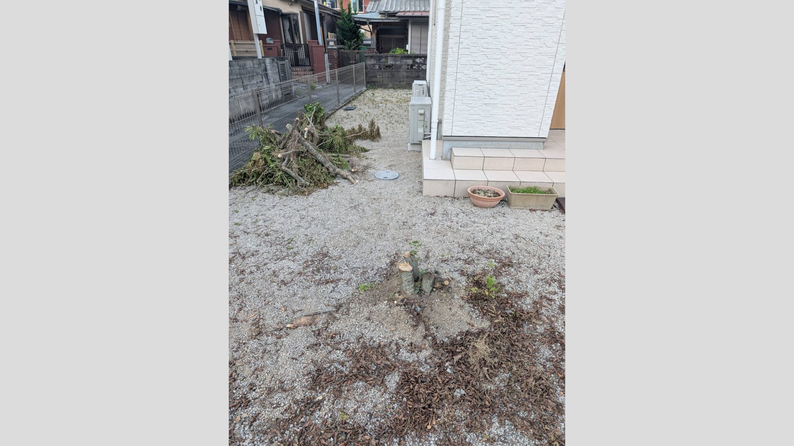 自分で伐採した木の処分と抜根