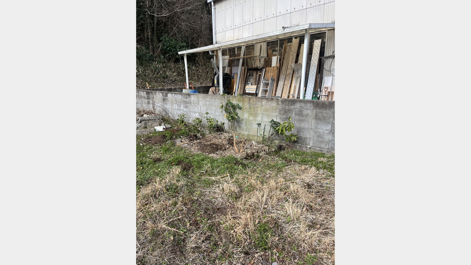 空き家に残されたスチール物置の解体撤去